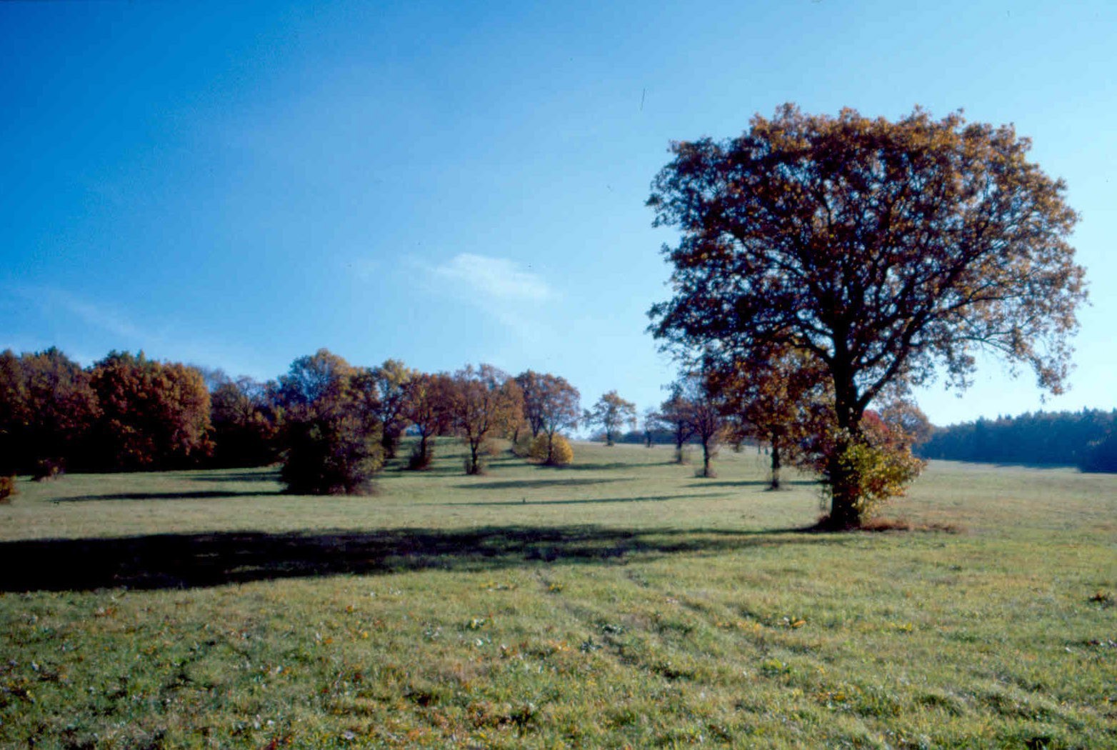 Rezervace Machov