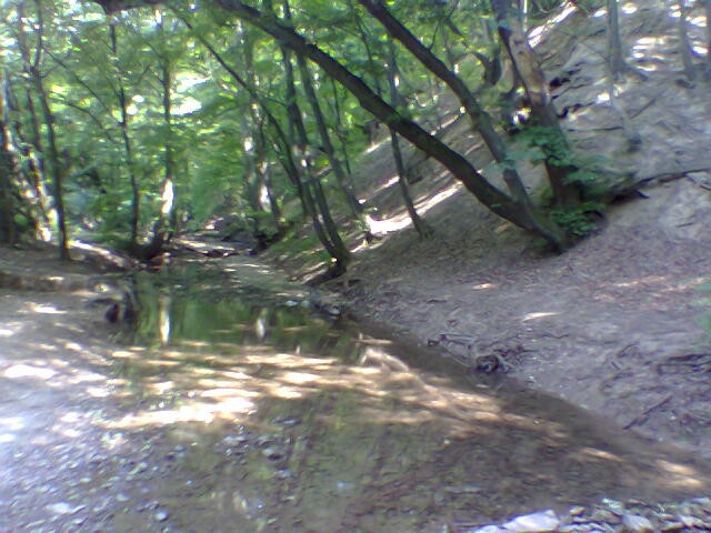 Potok