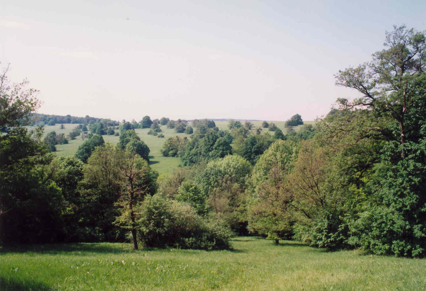 Rezervace ertoryje