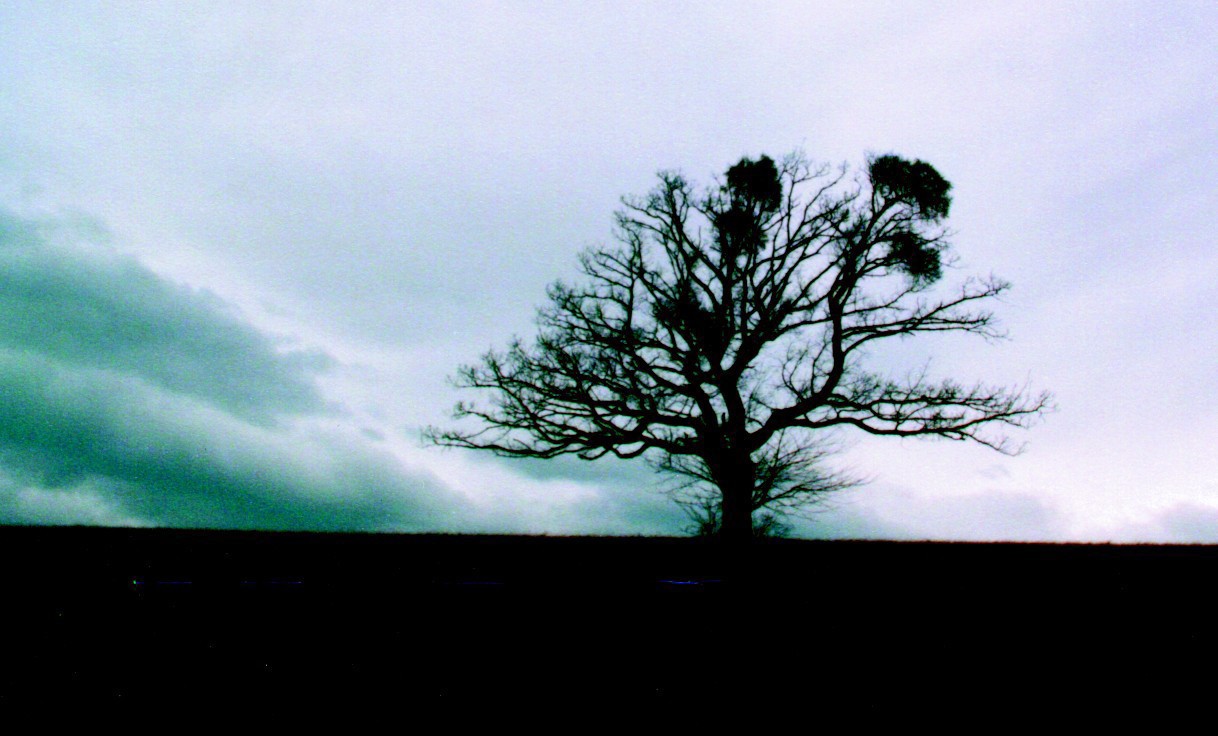 Strom